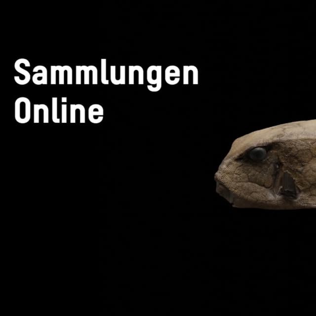Stiftung Humboldtforum Frontpage Photo